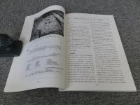 平安時代庭園に関する研究2　＜平成19年度 古代庭園研究会報告書＞