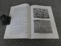 日本出土原始古代繊維製品の分析調査による発展的研究 「CR-ROM付属」 ＜科学研究費補助金(基盤研究(A)(2))研究成果報告書＞