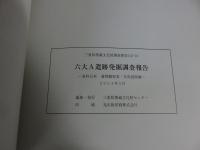 六大A遺跡発掘調査報告 ＜資料分析・遺物観察表・写真図版編＞