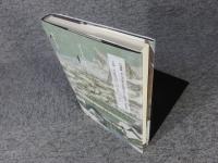 ピーテル・ブリューゲル: ロマニズムとの共生