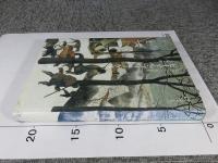 ピーテル・ブリューゲル: ロマニズムとの共生