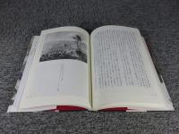 ピーテル・ブリューゲル: ロマニズムとの共生