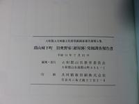 郡山城下町　旧奥野家（紺屋跡）発掘調査報告書：大和郡山市埋蔵文化財発掘調査報告書第6集
