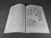 播磨国鵤荘　現況調査報告総集編　※付図は欠