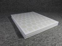 デュフィ展　RETROSPECTIVE RAOUL DUFY　2014