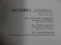 成塚石橋遺跡2　一級河川蛇川河川改修工事に伴う埋蔵文化財発掘調査報告書2