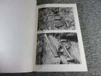 大福遺跡　奈良県史跡名勝天然記念物調査報告36冊