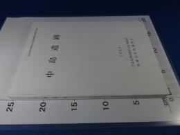 北九州市埋蔵文化財調査報告書 第178集 　「中島遺跡」