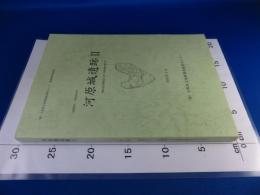 河原城遺跡2　―南阪奈道路建設に伴う発掘調査報告書―