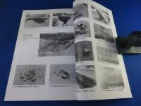 河原城遺跡2　―南阪奈道路建設に伴う発掘調査報告書―