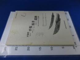 平取町　平取桜井遺跡　1999