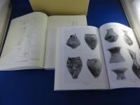 瓜生堂遺跡1 『本文編』『考察・分析・写真図版編』
