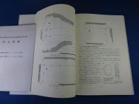 居伝遺跡　橿原考古学研究所調査報告第七十九冊　付図2枚