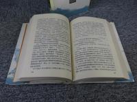 中国文学理論批評史 上下（2冊揃）