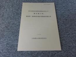 郡山城下町　紺屋町・新紺屋町地区発掘調査報告書