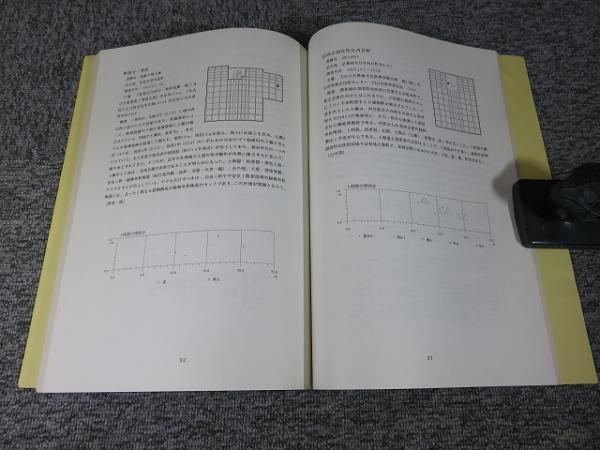 古代の土器2 都城の土器集成Ⅱ(古代の土器研究会（編）) / 古本、中古