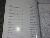 大和を掘る20　2001年度　発掘調査速報展