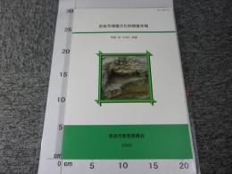 奈良市埋蔵文化財調査年報 平成18（2006）年度