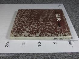 小説　湖底