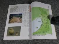 歴史発掘おおさか2016 大阪府発掘調査最新情報