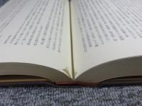 宮崎滔天全集　第2巻