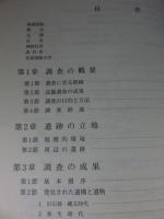 土器塚遺跡 第2次調査