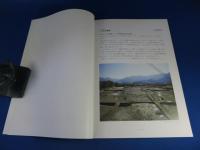 発掘された日本列島’97『ひょうご復興の街から』