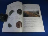 発掘された日本列島’97『ひょうご復興の街から』