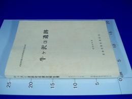 牛ケ沢(3)遺跡 −青森県埋蔵文化財調査報告書 第86集
