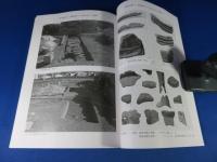 長岡京跡, 南条遺跡・南条古墳群 ＜向日市埋蔵文化財調査報告書 第95集＞