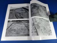 西野田遺跡発掘調査報告　(第1・2・3次調査)