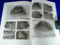 愛知県知多市岡田・大興寺『籠池古窯群・西渕馬古窯群』
知多市文化財資料　第34集