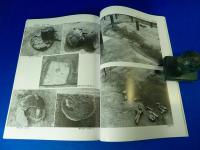 八尾市亀井地内所在 『久宝寺遺跡・竜華地区発掘調査報告書V』　
大阪竜華都市拠点土地区画整理事業（都市機能更新事業）に伴う発掘調査