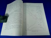 大阪市東住吉区在　『大和川今池遺跡（その5・その6・その7） 』　大和川河川改修事業に伴う発掘調査報告書