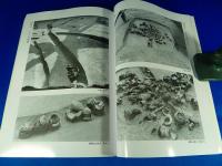 八尾市　『久宝寺遺跡・竜華地区発掘調査報告書VI』　大阪竜華都市拠点地区竜華東西線建設に伴う発掘調査