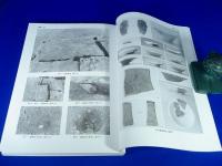 『上太田遺跡・市の瀬遺跡・南ヶ畑遺跡』