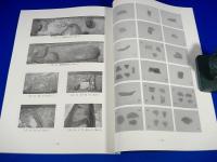 第3次 戸田遺跡発掘調査報告書（第5次名古屋市中川区戸田二丁目付近下水道工事に伴う調査）