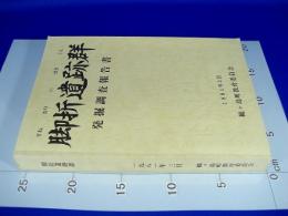 『脚折遺跡群 発掘調査報告書』