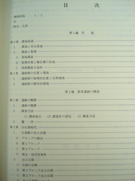 ☆【発掘調査報告書】『溜池遺跡(2冊)』 東京都港区・千代田区