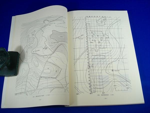 国営飯山農地開発関係遺跡発掘調査報告I（新堤遺跡・トトノ池