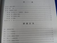『八坂東遺跡』　彦根市八坂町
