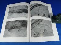 『霊仙寺遺跡』　栗東市十里