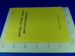 『新田町遺跡・阿形遺跡・皆鍋遺跡』　埋蔵文化財発掘調査報告書