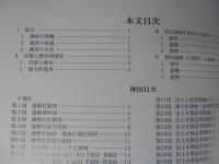 『替田遺跡（第4次）発掘調査報告』