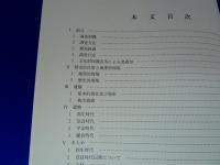『山村遺跡（第2次）発掘調査報告』　