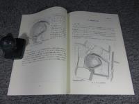 団子山古墳1 〈福島県須賀川市団子山古墳測量調査・物理探査・発掘調査報告書〉