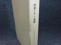 四条シナノ遺跡　奈良県立橿原考古学研究所調査報告第100冊　