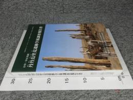 日中/中日共同 丹丹烏里克遺跡学術調査報告書