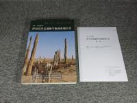 日中/中日共同 丹丹烏里克遺跡学術調査報告書