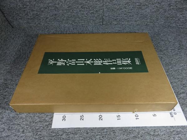 平野富山 木彫作品集 講談社 昭和56年 二重箱｜アート・デザイン